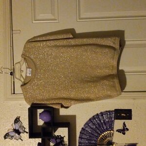 Kathie Lee  Shimmering Gold Sweater Size 1X